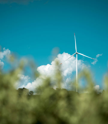<p>We offset our emissions with carbon credits.</p>