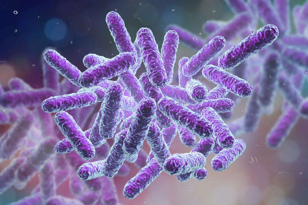 The Skin Microbiome