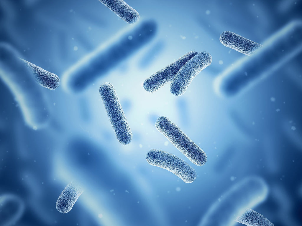 Your Skin’s Invisible Ecosystem