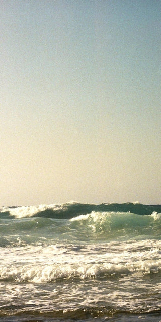 25% Off with EARTHDAY25 image