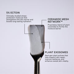 Skincare product with labeled components on a light gray background