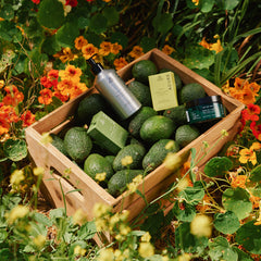 Wooden crate filled with avocados and skincare products surrounded by flowers