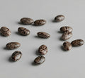 chia seeds scattered on a light gray background