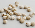 Quinoa seeds scattered on a light gray background